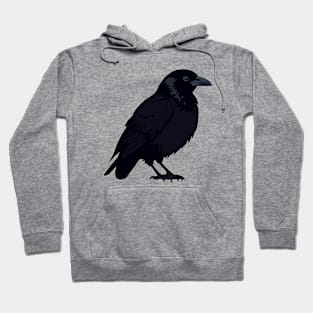 Side Profile of a Large Raven Hoodie